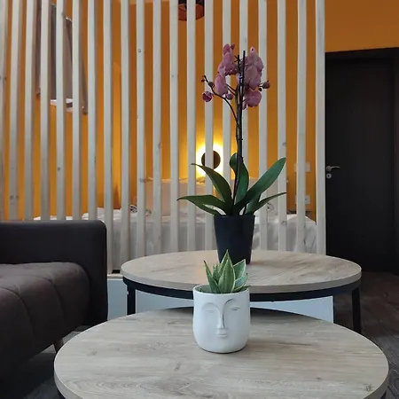 Apartament Petmeza 1 F *