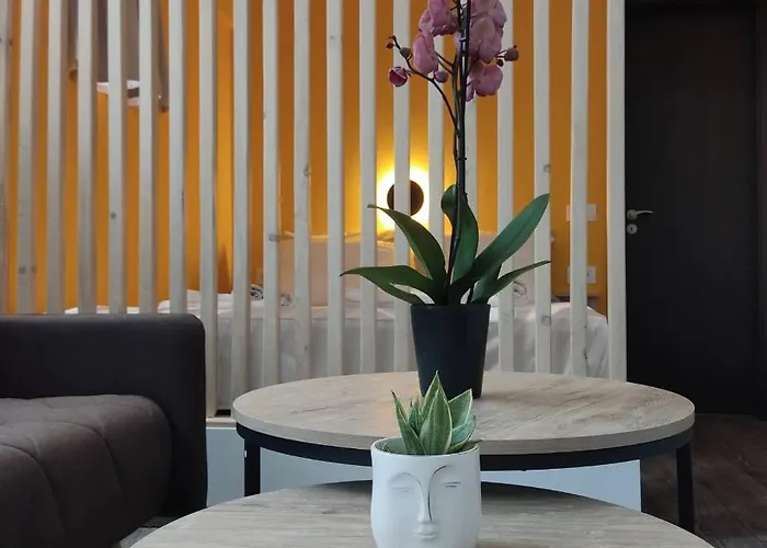 Apartamento Petmeza 1 F *